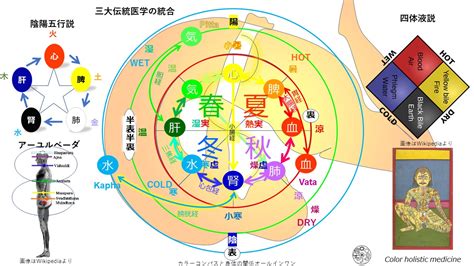 三陰三陽 日本|三陰三陽卦について 